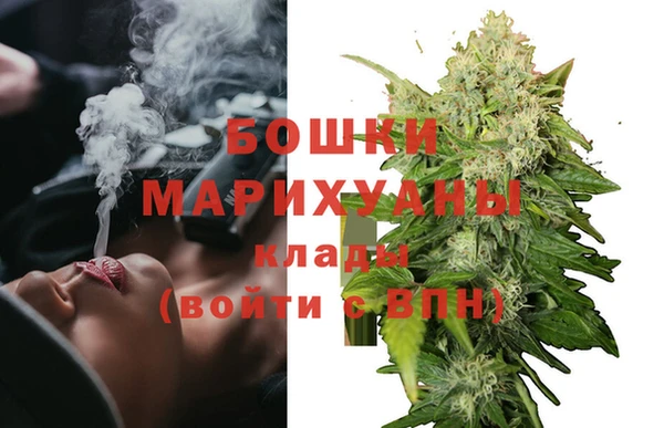ПСИЛОЦИБИНОВЫЕ ГРИБЫ Балабаново