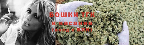 ПСИЛОЦИБИНОВЫЕ ГРИБЫ Балабаново