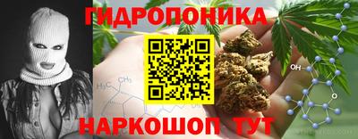 стаф Ярославль