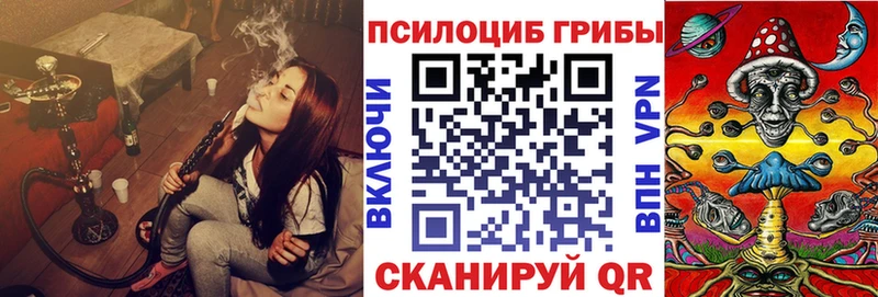 Псилоцибиновые грибы Psilocybe  Бор 