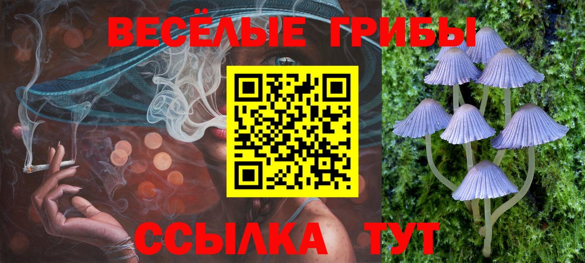 Псилоцибиновые грибы GOLDEN TEACHER  Вход с VPN  Бор 